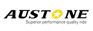 4x AUSTONE 295/60R22.5 ADR 606 150/147L 3PMSF TL