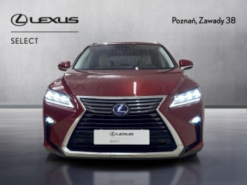 Lexus RX IV SUV 450h 313KM 2016 Lexus RX 450h Elegance MY19 IV (2015-2020) Lexus R, zdjęcie 5