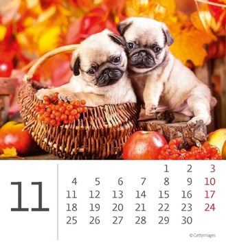 Настольный календарь на 2024 год с мини-ежемесячными собаками