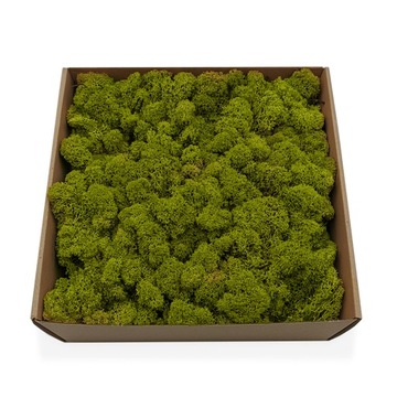 250g netto MECH CHROBOTEK reniferowy OCZYSZCZONY