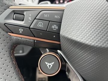 Cupra Terramar 2025 Cupra Terramar 2.0 TSI 204 KM 7-biegowa automatycz, zdjęcie 21