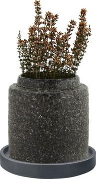 IPRS300 Platofma Road Stand