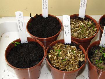 Вермикулит 3-6 мм. мешок 80 литров