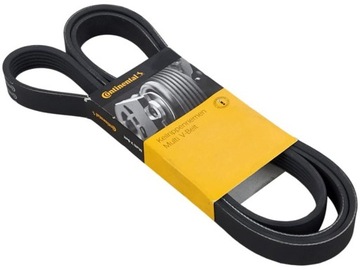 Continental 6PK1613 Pasek klinowy wielorowkowy