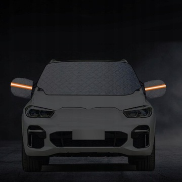 Зимнее лобовое стекло Лобовое стекло автомобиля