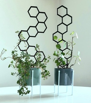 2 X ПОДДЕРЖИВАЮЩАЯ ЛЕСТНИЦА ДЛЯ ЦВЕТОВ, РАСТЕНИЙ, МЕДОВАЯ СМЕСЬ M