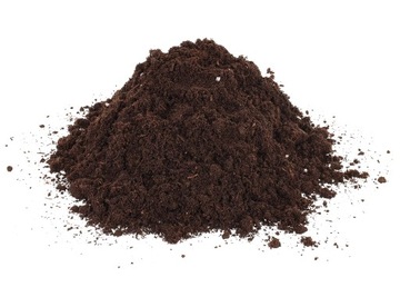 Подарочный набор ко Дню матери: африканские огненные деревья бонсай на День матери