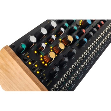 Модульный парафонический синтезатор Pittsburgh Taiga