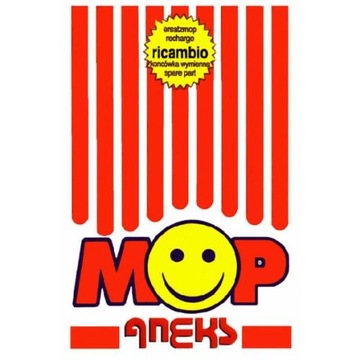 ИТАЛЬЯНСКАЯ ШВАБРА RICambio 250G Новый Цвет