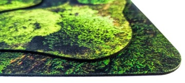 2D УНИВЕРСАЛЬНЫЕ ОБЛАСТИ - ЛЕС