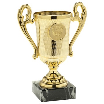 Puchar złoty trofeum nagroda sport + GRAWER 23,5cm