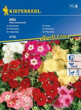 Kiepenkerl Nasiona Floks Mix 8793