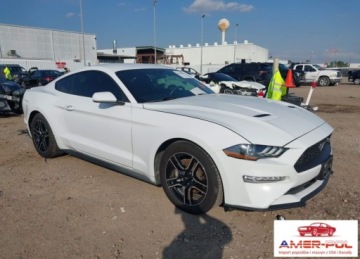 Ford Mustang VI 2019 Ford Mustang FORD MUSTANG ECOBOOST 2.3 Benzyna 314KM