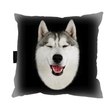 PODUSZKA z psem HUSKY na prezent upominek PIES