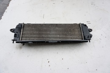 INTERCOOLER NISSAN PRIMASTAR I 2.0 DCI