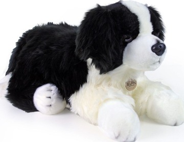 REALISTYCZNY PIES MASKOTKA BORDER COLLIE 60cm