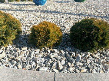 Каменная кора 11-32 мм гнейс натуральный садовый камень 1000 кг бесплатный валун