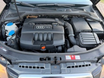 Audi A3 8P Hatchback 3d 1.6 102KM 2004 Audi A3 3-drzwiowe 1.6mpi 102KM Klima Alusy Grzane fotele Sprawdz 1.6, zdjęcie 11
