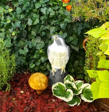 Большой отпугиватель соколов, птиц, скворцов, голубей, мышей, садовая фигурка, репест