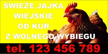 Baner Sprzedaż Jajek od Kur z Wolnego Wybiegu 1metr x 0,5 metra