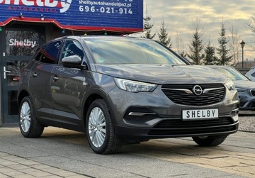 Opel 2020 Opel Grandland X 1.2 benz. 130KM klimatronik Led Navi Tempomat Stan Bdb OP, zdjęcie 4