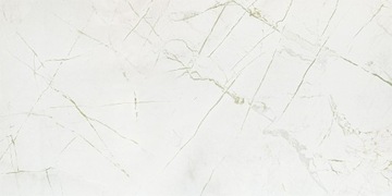 Rainforest white gloss 59,8x119,8 Domino - glazura
