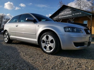 Audi A3 8L Hatchback 1.6 i 102KM 2003 Audi A3 Audi A3 II (8P) 1.6 102KM Mpi, BDB sta..., zdjęcie 32