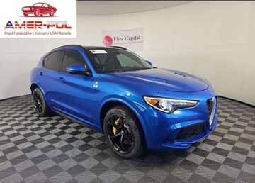 Alfa Romeo Stelvio 2018 Alfa Romeo Stelvio Quadrifoglio 2018 2.9l 2.9 Benzyna 505KM