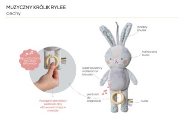 Taf Toys Музыкальный Кролик Райли