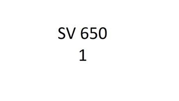 Suzuki SV 650 98-02 Termostat