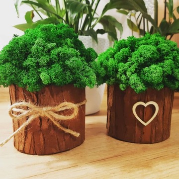 УКРАШЕНИЕ МОХ ХРОБОТЕК ВЕДРО УКРАШЕНИЕ ДОМА