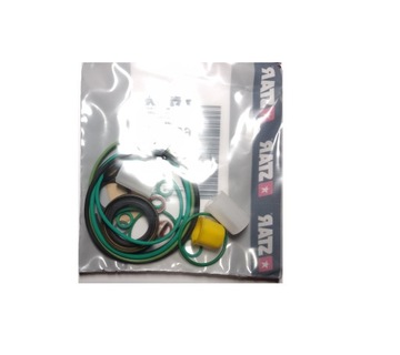 Комплект прокладок Ford 2.2 TDCi 5WS40694 5WS40695