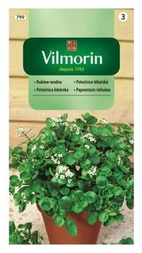 Rukiew wodna 0,5g Vilmorin NAJZDROWSZE WARZYWO ŚWIATA SUPERFOOD