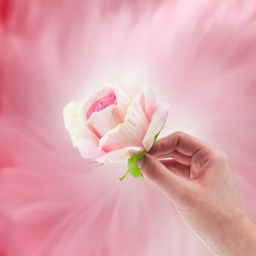 РОЗА ИЗДЕЛИЕ РОЗЫ ЦВЕТОЧНАЯ ГОЛОВКА ИСКУССТВЕННЫЕ ЦВЕТЫ КАК ЖИВЫЕ РОЗОВЫЕ