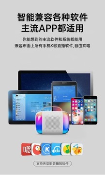 Мини-колонка для караоке, домашний караоке, КТВ, Bluetooth, встроенный микрофон