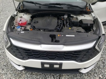 Kia Sportage V 2024 Kia Sportage 2024 KIA SPORTAGE LX 2.5 Benzyna 187KM, zdjęcie 11