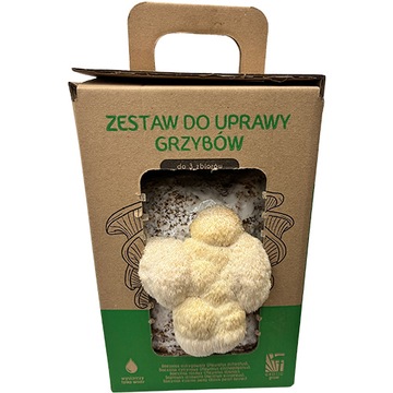 SOPLÓWKA jeżowata 6L Własna uprawa GRZYBNI soplówki żywa grzybnia