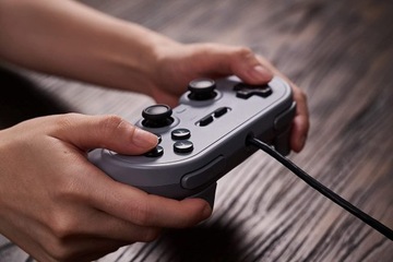 8bitdo Pro 2 Grey Pad USB-переключатель для ПК Raspberry