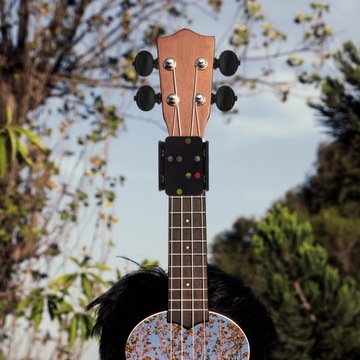 Учебное пособие по созданию аккордов на укулеле