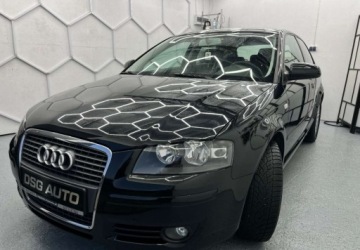 Audi A3 8P 2008 Audi A3 3-drzwiowe 1.6 benzyna oplacony serwisowany bezwypadkowy Polec, zdjęcie 11