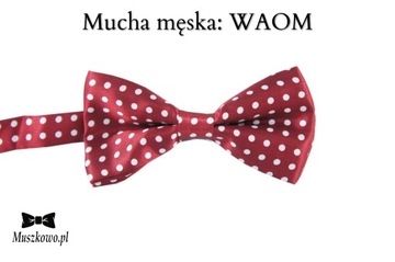 Szelki do spodni w paski i muszka męska do koszuli