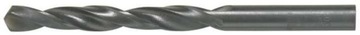 Wiertło kręte HSS 1,0 mm (2 szt.),209310101, LUNA