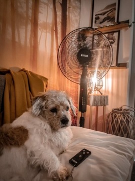 НАПОЛЬНЫЙ ВЕНТИЛЯТОР, 40 СМ, + ДИСТАНЦИОННОЕ УПРАВЛЕНИЕ