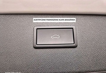 Cupra Formentor Crossover 1.5 TSI 150KM 2024 Cupra Formentor 1.5 TSI 150KM DSG Skora led kamera Duza Navi 6xPDC Orygina, zdjęcie 10