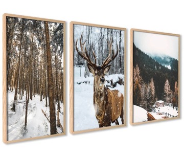 ZESTAW Plakaty W RAMACH 3XL 50x70cm ZIMA JELEŃ ŚNIEG LAS GÓRY BRĄZOWE