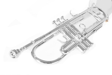 Рой Бенсон Труба Bb TR-403S