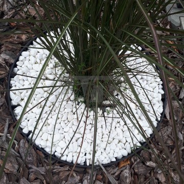 КРОМКА ГАЗОНА САДОВЫЕ КРОМКИ БОРДЕР 12 м + 50 АНКЕРНЫХ ШТИФТОВ