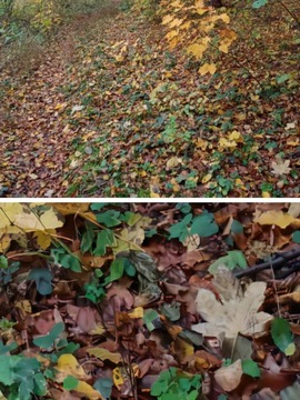 ОБРАБОТКА ФОТОГРАФИЙ, ФОТОМОНТАЖ, УВЕЛИЧЕНИЕ, ПОВЫШЕНИЕ РЕЗКИ - БЕСПЛАТНАЯ ДЕМО - на завтра