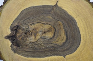 Деревянный поднос 