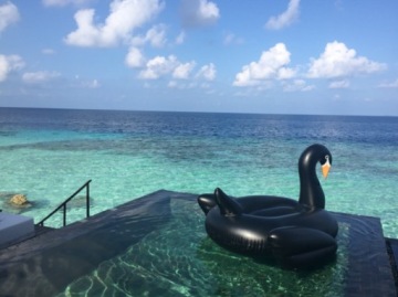 БОЛЬШОЙ НАДУВНОЙ МАТРАС ЛЕБЕДЬ понтон для плавания